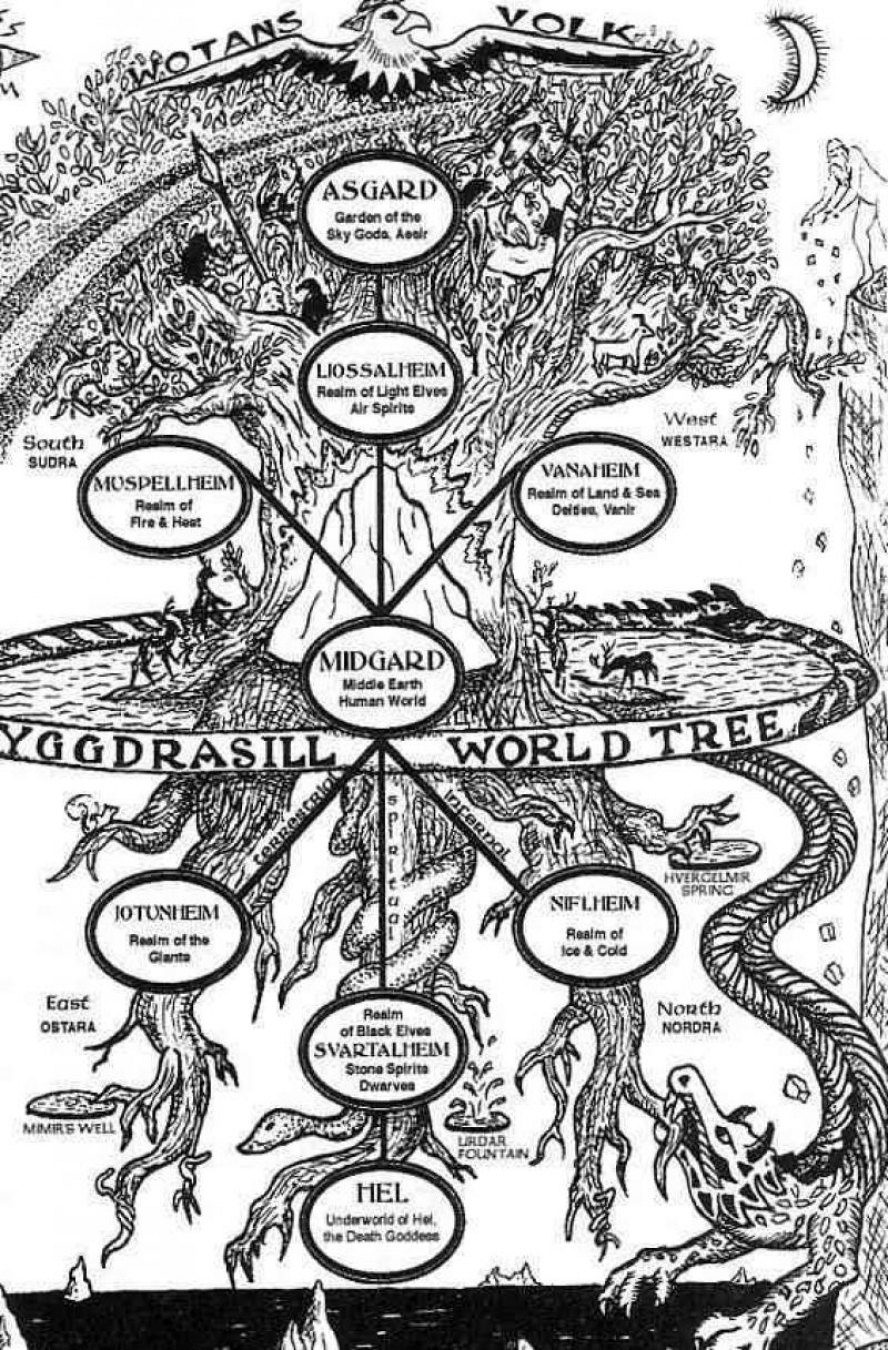 The nine worlds The nine worlds
